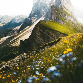 Paysage de montagne avec des sommets escarpés et un premier plan de fleurs sauvages colorées