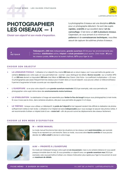 Fiche photographier les oiseaux