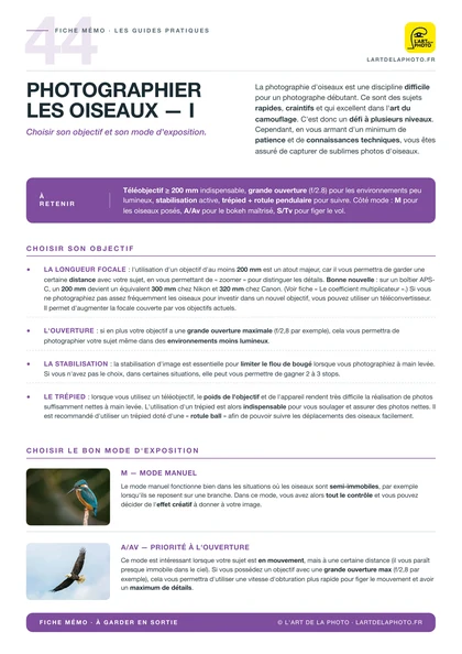 Fiche photographier les oiseaux
