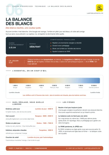 Fiche d'exercices La balance des blancs