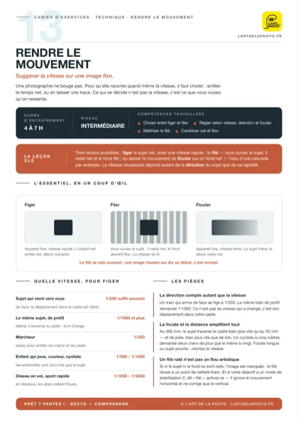 Fiche d'exercices Rendre le mouvement