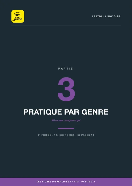 Couverture de la partie 3, Pratique par genre