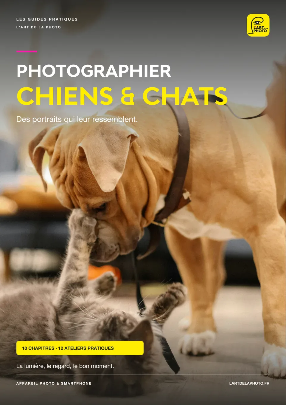 Couverture du guide Photographier chiens & chats