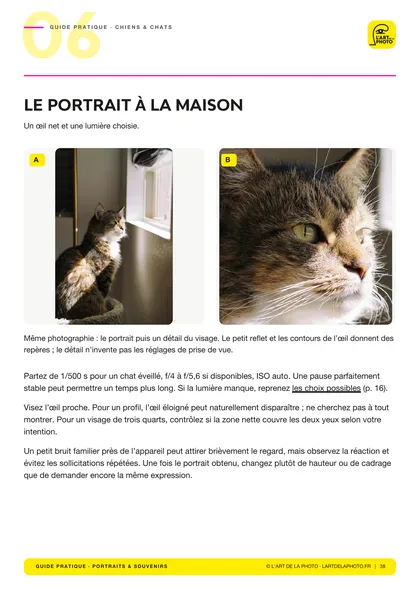 Page « Le portrait à la maison » du chapitre 06