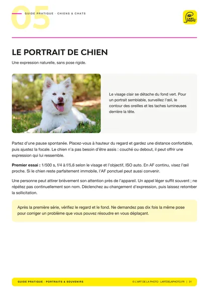 Page « Le portrait de chien » du chapitre 05