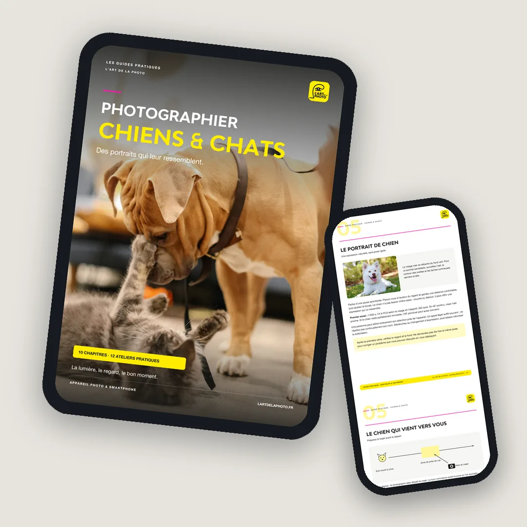 Le guide Photographier chiens & chats sur tablette et téléphone