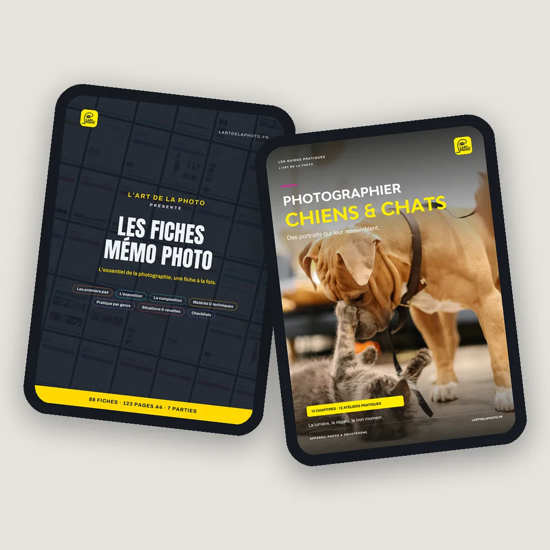 Les Fiches Mémo Photo et le guide Chiens & chats sur deux tablettes